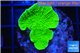 Montipora green cap 2-4 cm WYSIWYG acclimaté