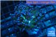Euphyllia paraancora reverse toxic green 3-6 cm WYSIWYG acclimaté