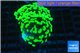 Euphyllia paraancora neon green 4-8 cm WYSIWYG acclimaté