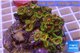 Zoanthus Fijii premium 8-12 cm WYSIWYG acclimaté