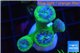 Duncanopsammia green 4 polyps WYSIWYG acclimaté