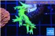 Seritopora golden green 3-4 cm WYSIWYG acclimaté