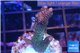 Acropora pink & green Indonesia 3-5 cm WYSIWYG acclimaté