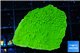 Montipora capricornis green 2-4 cm WYSIWYG acclimaté