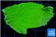 Montipora capricornis green 3-5 cm WYSIWYG acclimaté