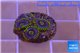 Zoanthus neon green magician blue 3-5 polyps WYSIWYG acclimaté