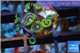 Zoanthus neon green magician blue 7-10 polyps WYSIWYG acclimaté