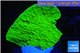 Montipora green cap 3-4 cm WYSIWYG acclimaté