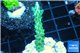 Acropora green purple tip 2-4 cm WYSIWYG acclimaté