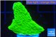 Montipora green cap 2-3 cm WYSIWYG acclimaté