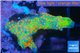 Montipora red fire foret 2-3 cm WYSIWYG acclimaté
