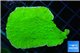 Montipora green cap 3-4 cm WYSIWYG acclimaté