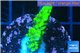 Acropora full neon green 2-3 cm WYSIWYG acclimaté