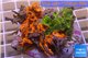 Zoanthus premium mix color 7-10 cm WYSIWYG acclimaté