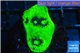 Echinophyllia ufo 2-3 cm WYSIWYG acclimaté