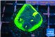 Echinophyllia ufo 2-3 cm WYSIWYG acclimaté