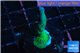 Montipora digitata 2-4 cm WYSIWYG acclimaté
