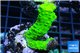 Acropora full neon green 3-5 cm WYSIWYG acclimaté