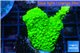 Acropora full neon green 2-3 cm WYSIWYG acclimaté