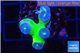 Duncanopsammia green 4 polyps WYSIWYG acclimaté