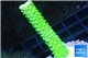 Acropora neon green 3-5 cm WYSIWYG acclimaté