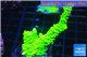 Acropora neon green 3-5 cm WYSIWYG acclimaté