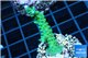 Acropora green & purple tip 3-4 cm WYSIWYG acclimaté