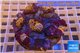 Ricordea yuma red small polyps 8-12 cm WYSIWYG acclimaté