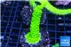 Acropora full neon green 3-5 cm WYSIWYG acclimaté