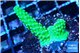 Acropora neon green 2-4 cm WYSIWYG acclimaté