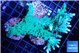 Acropora green ice 7-10 cm WYSIWYG acclimaté