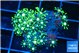 Pachyclavularia neon green 2-3 cm WYSIWYG acclimaté