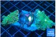 Ricordea yuma green purple 2 polyps WYSIWYG acclimaté