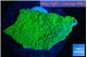 Montipora green cap 3-4 cm WYSIWYG acclimaté