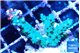 Acropora green damaged 3-5 cm WYSIWYG acclimaté
