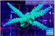 Acropora green & purple tip 5-7 cm WYSIWYG acclimaté