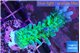 Acropora green & blue tip Fijii 3-5 cm WYSIWYG acclimaté