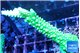 Acropora neon green 4-5 cm WYSIWYG acclimaté