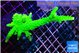 Acropora neon green 5-7 cm WYSIWYG acclimaté