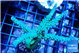Acropora green & purple tip 6-8 cm WYSIWYG acclimaté