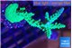 Acropora green & purple tip 3-5 cm WYSIWYG acclimaté