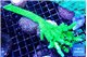 Acropora full neon green frag 12-16 cm WYSIWYG acclimaté