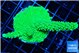 Acropora neon green 4-6 cm WYSIWYG acclimaté