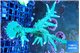 Acropora green & purple tip 5-8 cm WYSIWYG acclimaté