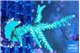 Acropora green & purple tip 4-6 cm WYSIWYG acclimaté