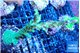 Acropora green purple 6-9 cm WYSIWYG acclimaté