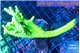 Acropora full neon green frag 16-22 cm WYSIWYG acclimaté