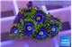 Zoanthus magic green blue 7-11 polyps WYSIWYG acclimaté