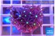 Knopia jasmine polyps 2-3 cm WYSIWYG acclimaté