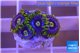 Zoanthus magic green blue 4-6 polyps WYSIWYG acclimaté